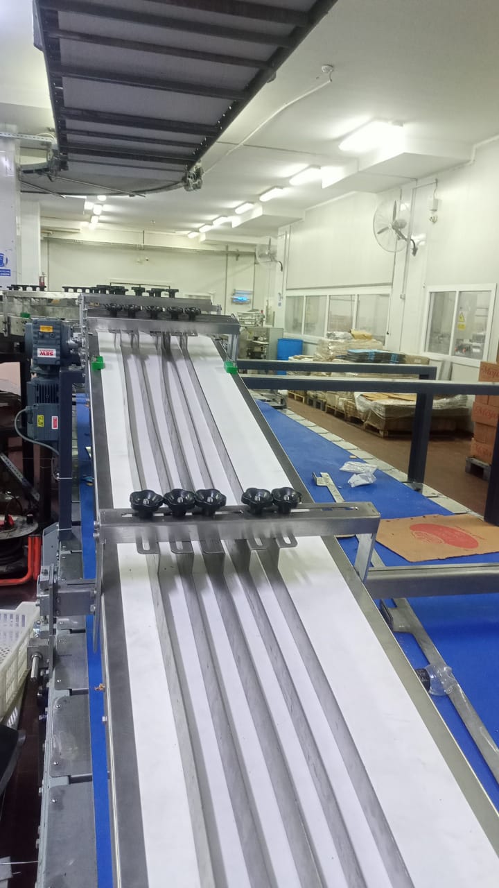 Biscuit conveying and guiding path towards packing